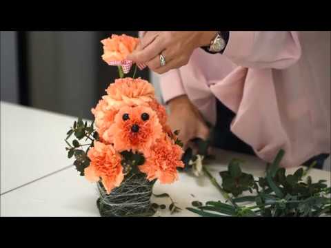 母の日にプレゼントで喜ばれる 生花でつくるかわいいトイプードル Youtube