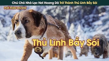 Chú Chó Nhà Vượt Ngàn Chông Gai Nơi Hoang Dã Trở Thành Thủ Lĩnh Bầy Sói || Phê Phim Review