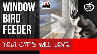 How to Make a See-Through Window Bird Feeder Your Cats Will Love | #DIY #HOWTO #CATTV by DIY Xplorer 8,187 views 3 years ago 13 minutes, 45 seconds