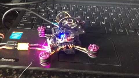 Eachine lizard problems