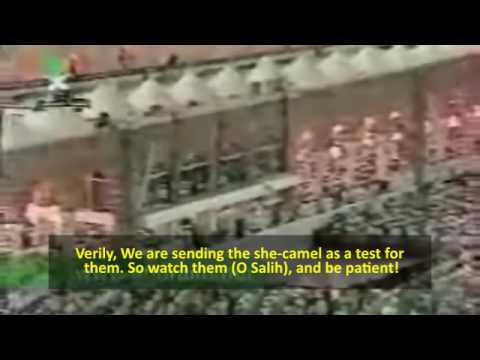 Shuraim 1414 Qamar