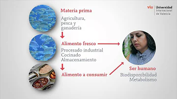 ¿Qué son los alimentos de alto riesgo en seguridad alimentaria?