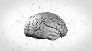 3d render of human brain rotating on the white bac 2026 01 28 02 30 53 utc