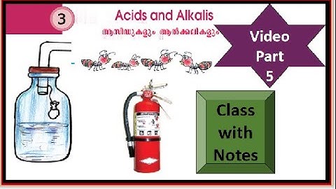 Acids and Alkalis | Basic Science 7th Standard | Chapter 3 | Video Part 5 | ആസിഡുകളും ആൽക്കലികളും
