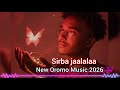 Qashxii Bareedduu New Oromo Music 2026 Sirba Jaalalaa