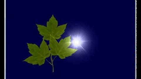 Muli3D Occlusion Query sample