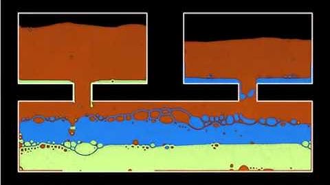 Multiphase unmiscible fluid simulation