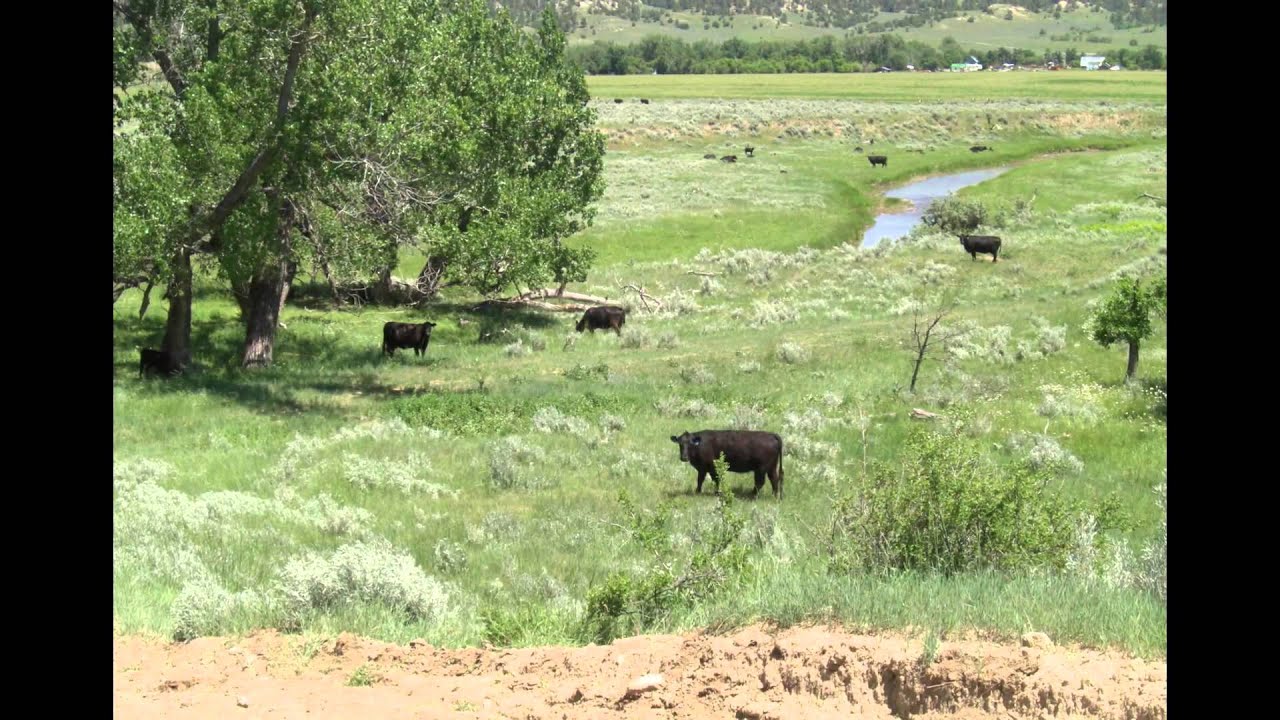 LAND FOR SALE IN NORTHEASTERN WYOMING YouTube