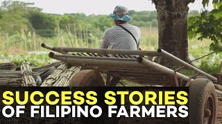 Success stories of Filipino farmers :  Vegetable farming | Agribusiness