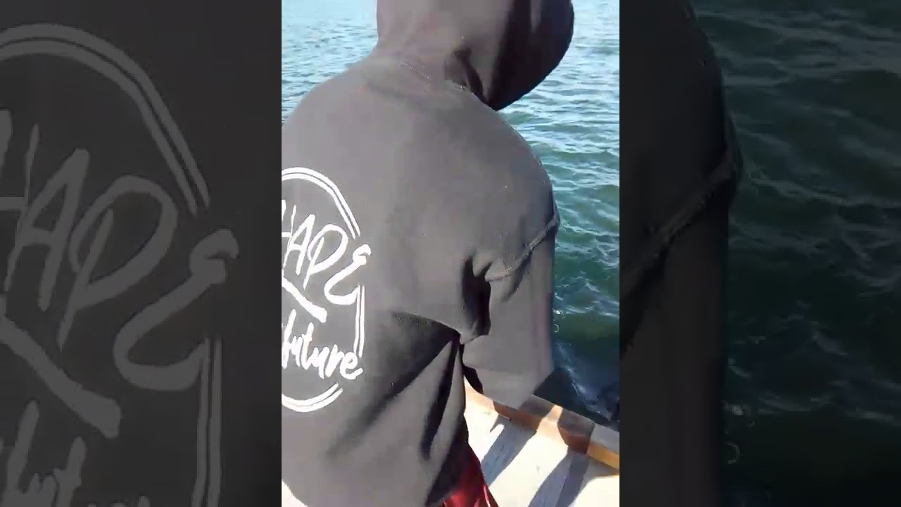 Brothers landing a trout at Shadow Cliffs, Pleasanton, CA. - YouTube
