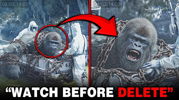 The Most SHOCKING Bigfoot Footage from Colorado — Caught on Camera Videos that are 100% NOT AI