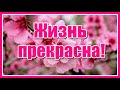 Жизнь прекрасна... - Красивое стихотворение и видео с прекрасной мелодией!