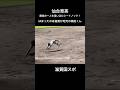 仙台育英 最後の一人を追い込むシートノック! はまったのは滋賀が地元の高田くん #仙台育英 #高校野球 #野球 #プロ野球 #甲子園