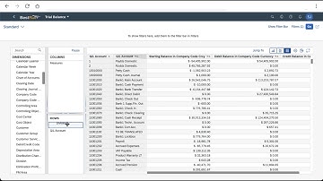Trial Balance in SAP S/4HANA