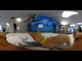 360 VIDEO: East Bay SPCA puppies at ABC7 360 VIDEO: East Bay SPCA puppies at ABC7