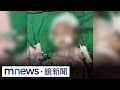 嬰送托腦重創「5度開顱」　保母測謊未過卻不起訴｜#鏡新聞