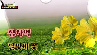 #장사익 - #달맞이 꽃/가사포함(3번연속듣기)