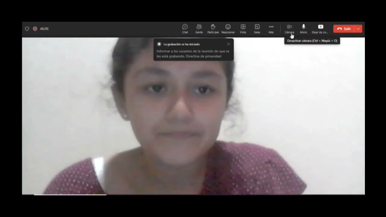 Proyectos de Graficación. Mini CAD, y CamCap.