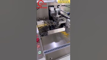 MÁY CẮT, TUỐT DÂY VÀ NHÚNG THIẾC TỰ ĐỘNG