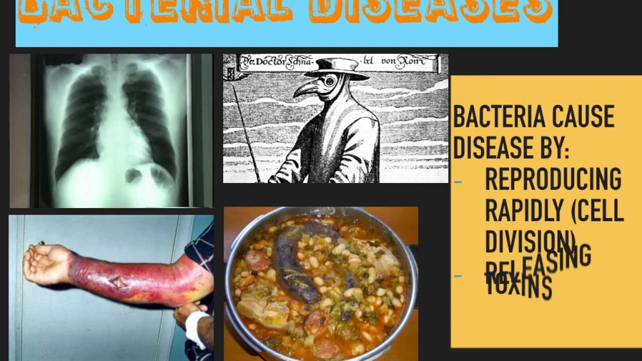 Communicable Diseases GCSE on YouTube