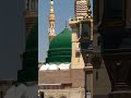 ya Allah Ham sabko madine or karbala ka ziyarat naseeb Karla #viral#foryou#tiktok#india#islam#skardu