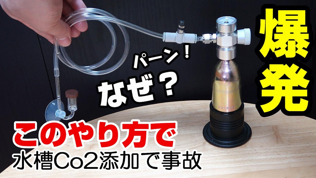 アクアプランツco2ジェネレーターシステム 電磁弁付き化学反応式二酸化炭素添加キットの価格と最安値 おすすめ通販を激安で