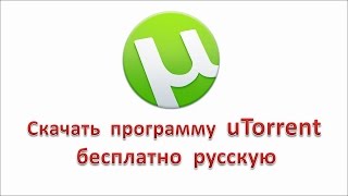 Скачать программу uTorrent бесплатно русскую