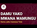 Damu yako mwana wa Mungu