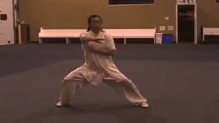 Excerpts Of Master Li Pei Yun Performing Chen Style Tai Chi Excerpts Of Master Li Pei Yun Performing Chen Style Tai Chi