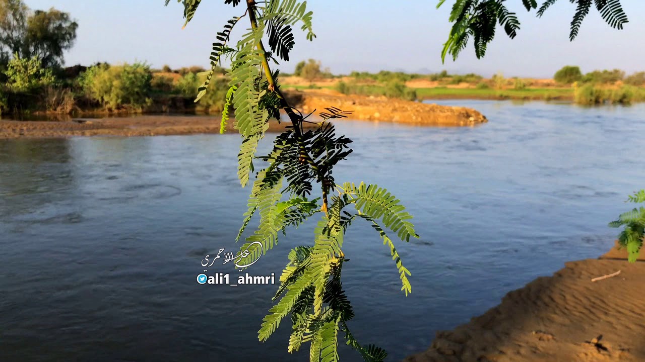 المطر صالح خيري