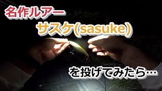 名作シーバスルアー サスケ(sasuke95sf)を投げてみたら…【2021年8月11日】