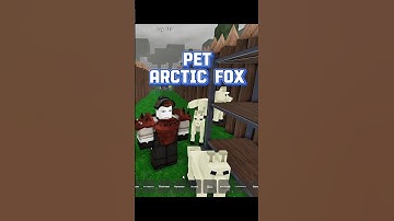 Taming The Arctic Fox on 99 nights in the forest