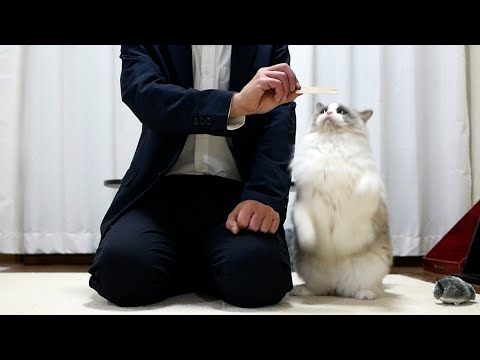 🎊このたび私は三井住友カードゴールド（NL）のオーナーになりました。