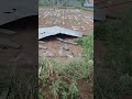कल अंधकार से नुकसान ढाय बूचोलाई गाँव में।