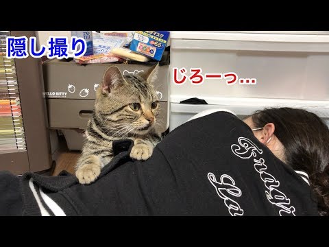 妹が寝てる間に猫がどんなイタズラをするのか密着してみた結果w