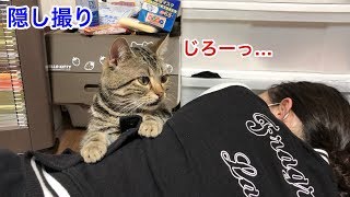 妹が寝てる間に猫がどんなイタズラをするのか密着してみた結果ｗ
