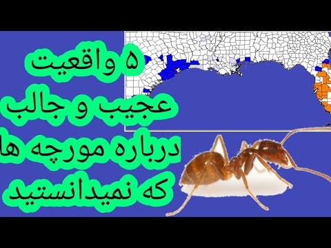 تصویری: پیرتروئیدهای مصنوعی قسمت 2