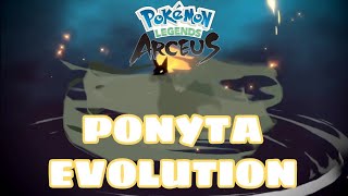 Evolving PONYTA into RAPIDASH | POKEMON LEGENDS ARCEUS