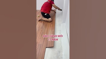 Sàn gỗ công nghiệp có dễ bị mối gây hại hay không