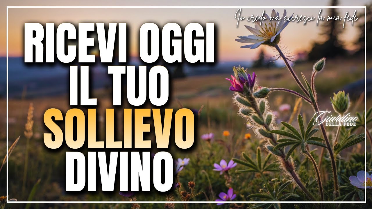 Dio sa quanto il tuo cuore è stanco. Ricevi sollievo.