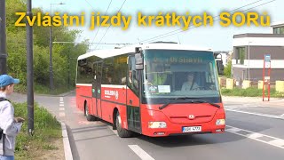 Malé autobusy SOR na okružních jízdách z Palmovky, 13. 4. 2024 | 8K HDR