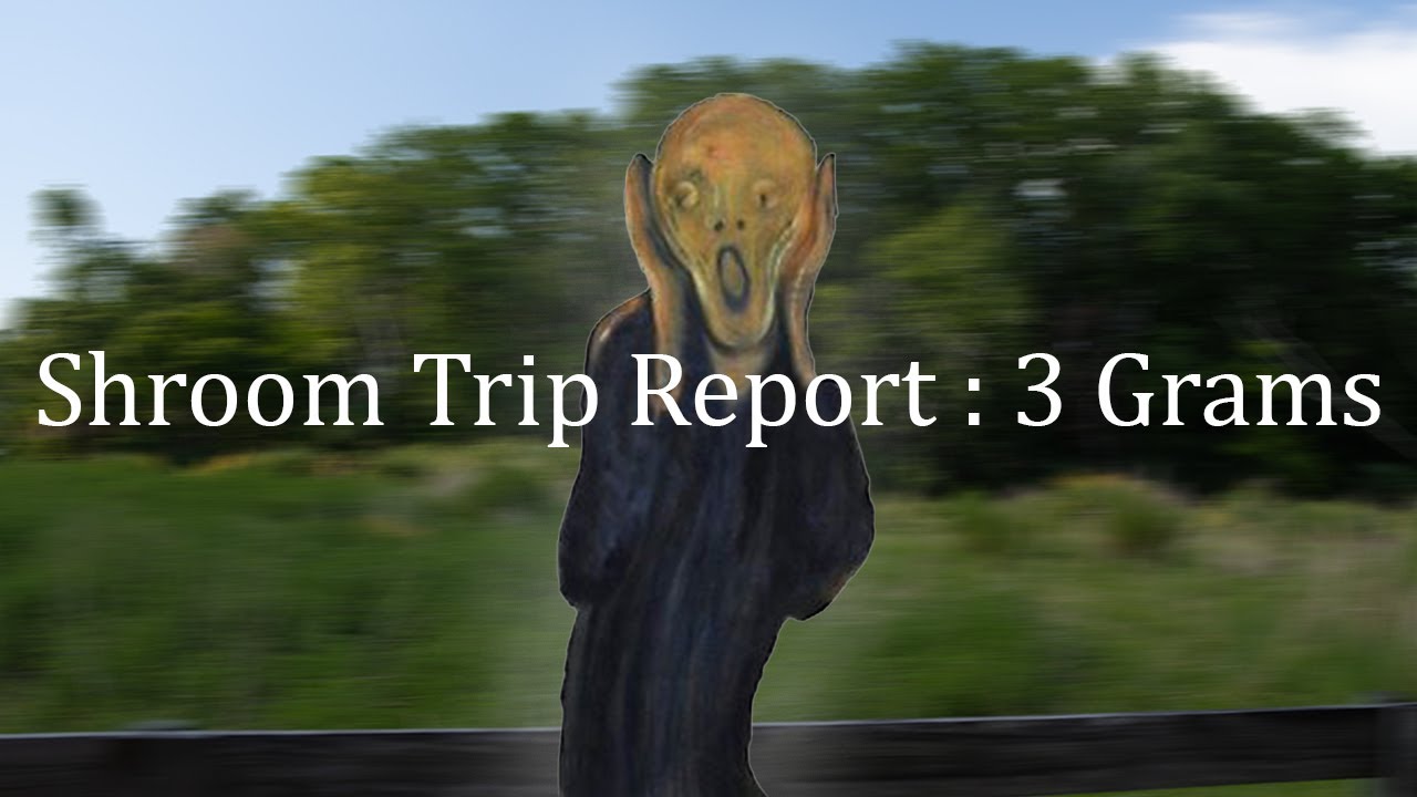 Shroom Trip Report : 3 Grams of Golden Teachers