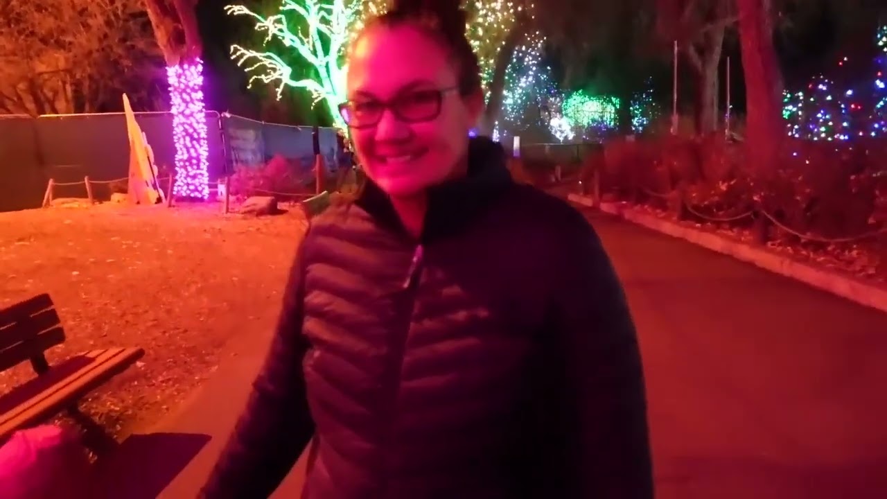 Denver Zoo Lights Christmas 2021 | Walk Through with Us