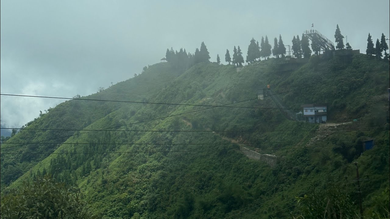 Peace in Nature 🌱