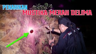 PENARIKAN MUSTIKA MERAH DELIMA
