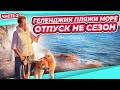 КРУЧЕ НА КРУЧЕ | КОФЕ И СЫР | ЕДА, ПЛЯЖ, ОТПУСК С СОБАКОЙ ГЕЛЕНДЖИК ОКТЯБРЬ ОБЗОР  часть 2