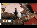 How high 2001  exploding pigeons scene 810  movieclips