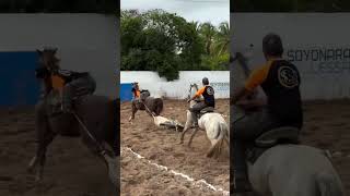 GUERREIRO JR SOMA GERAL E SE CLASSIFICA PARA DISPUTA FINAL NO RANCHO 3 MARIAS 🐎BELA DONA GATES🐎