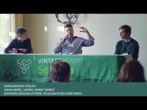2019 Sonoma Vintage Report - Winegrower Forum