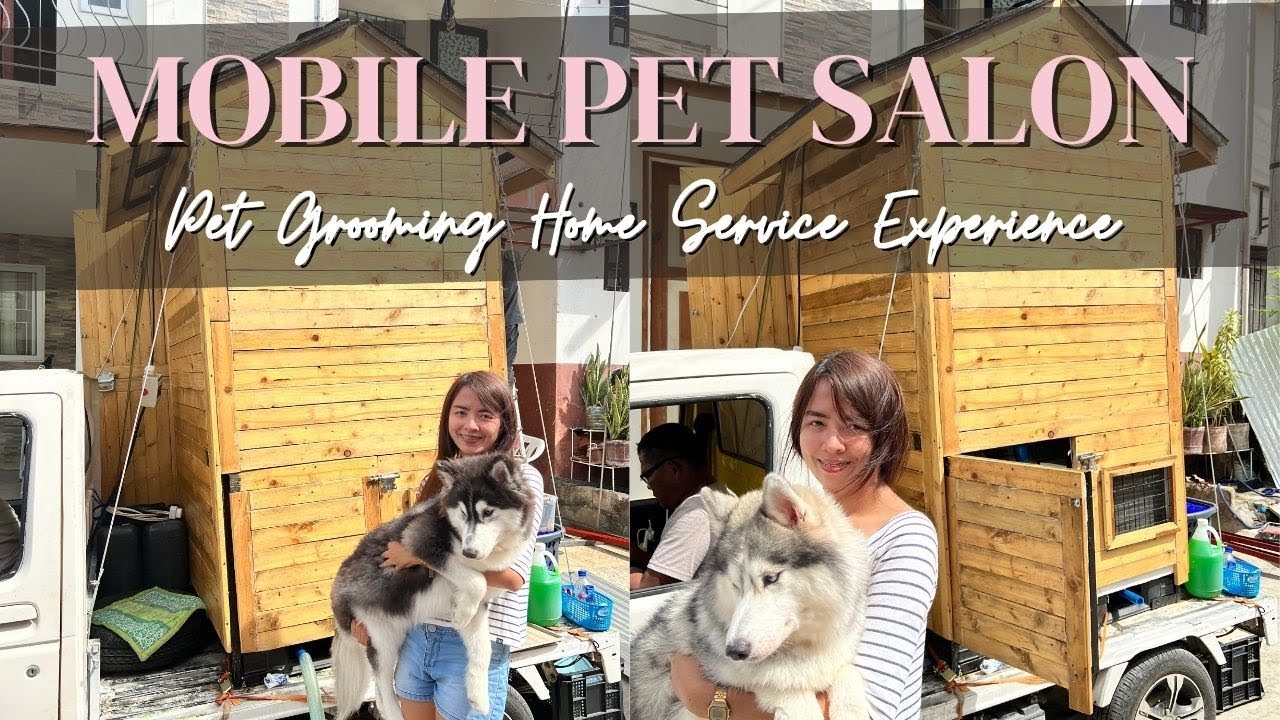 PET GROOMING HOME SERVICE CLEAN PAWS CO. CEBU YouTube